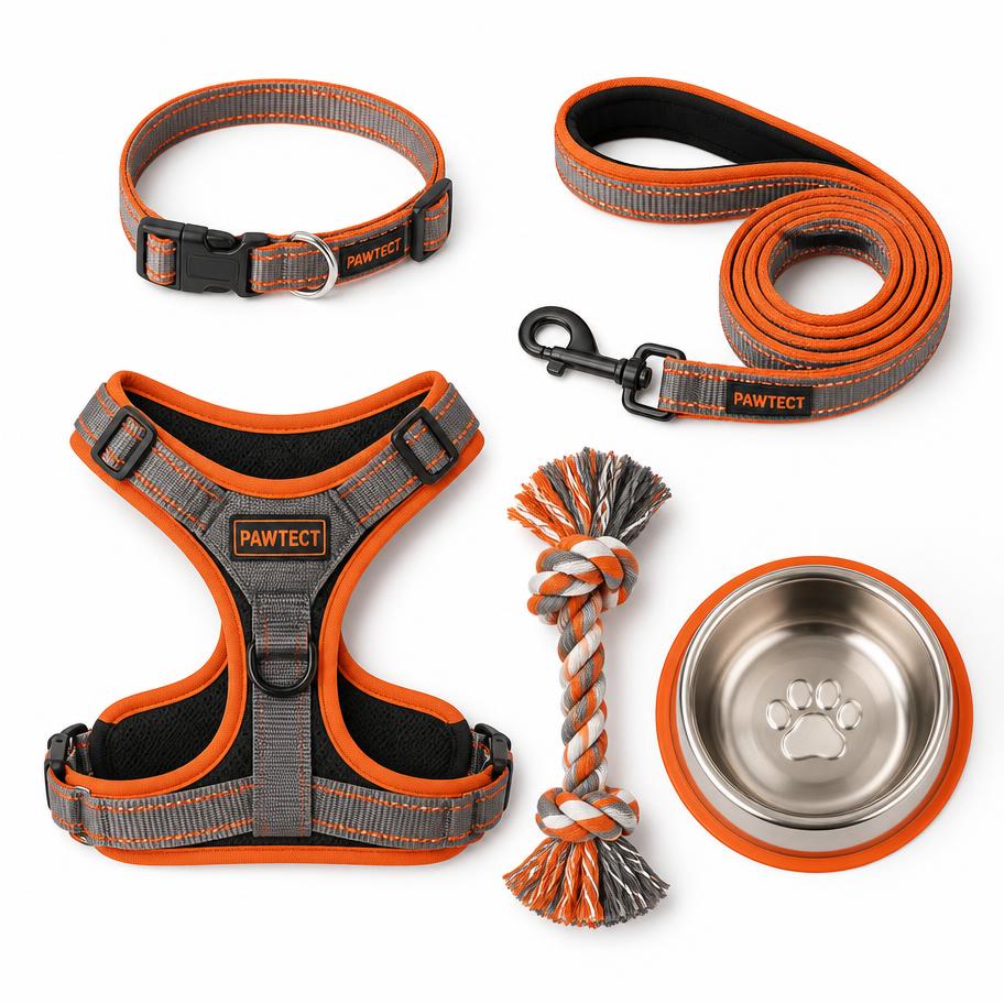 Accesorios